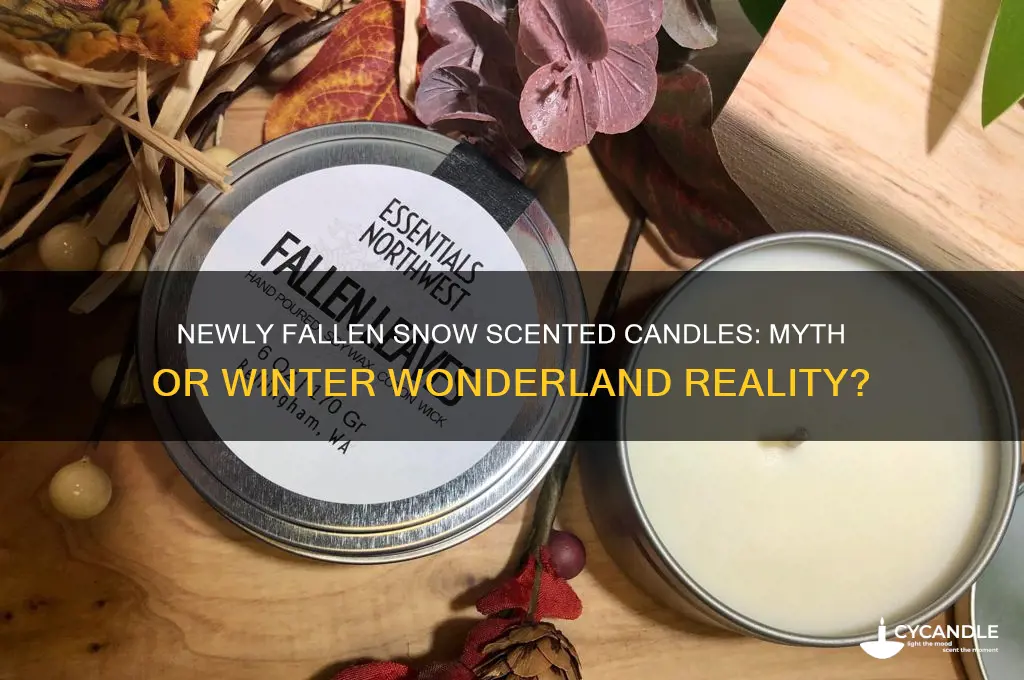 is there a scented candle newly fallen snow