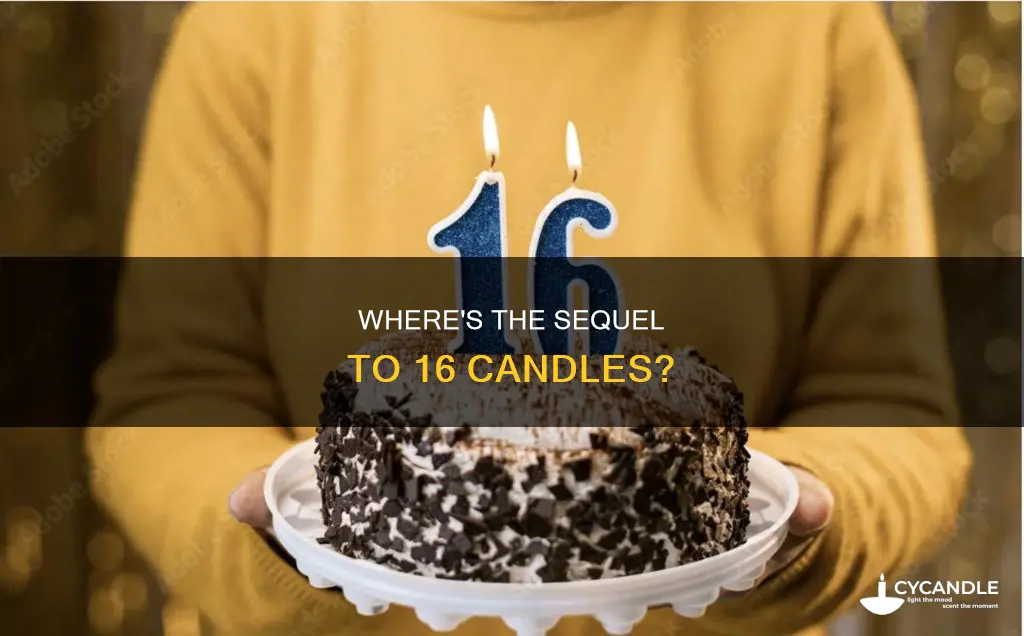 is there a sequel to 16 candles
