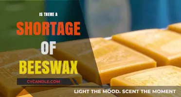 Beeswax Shortage: Uncovering the Truth Behind Declining Supplies