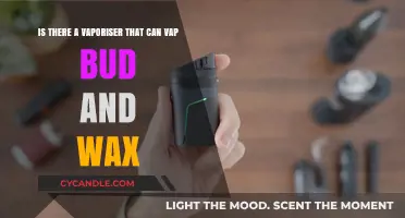 Best Dual-Use Vaporizers for Bud and Wax: Top Picks Reviewed