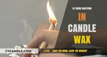 Candle Wax Bacteria: Unveiling the Hidden Microbial Truth