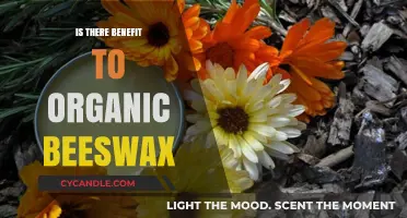 Organic Beeswax Benefits: Unlocking Nature's Pure, Sustainable Healing Power