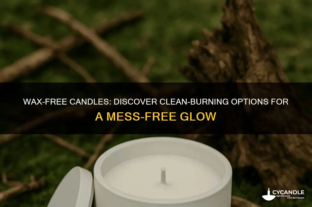 is there candles that doesn