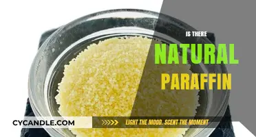 Exploring Natural Paraffin: Myth or Reality in Modern Skincare?