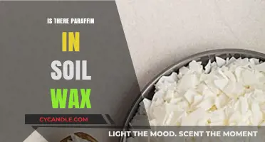 Is Paraffin in Soil Wax? Uncovering the Truth About Ingredients