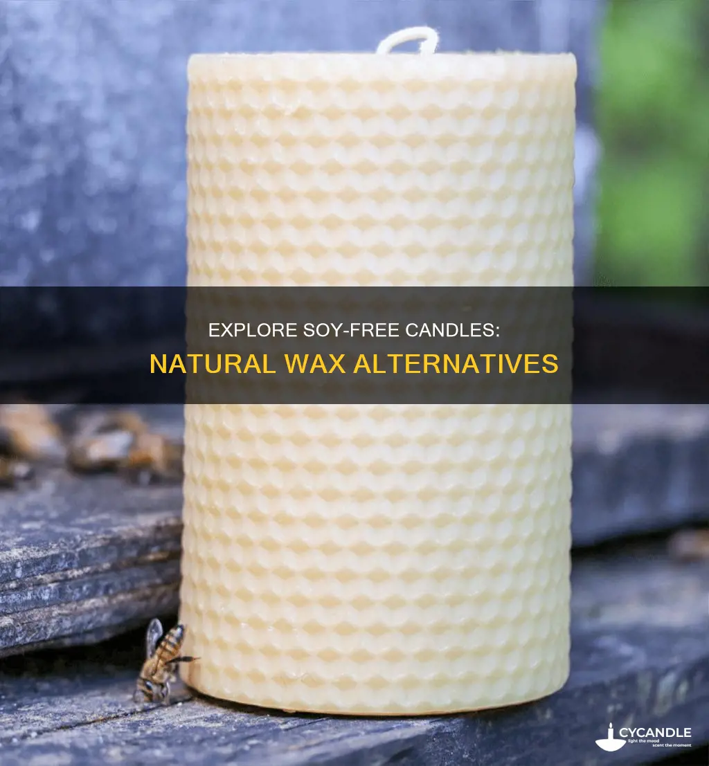 is there such a candle with out soy