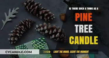 Pine Tree Candles: Do They Exist?