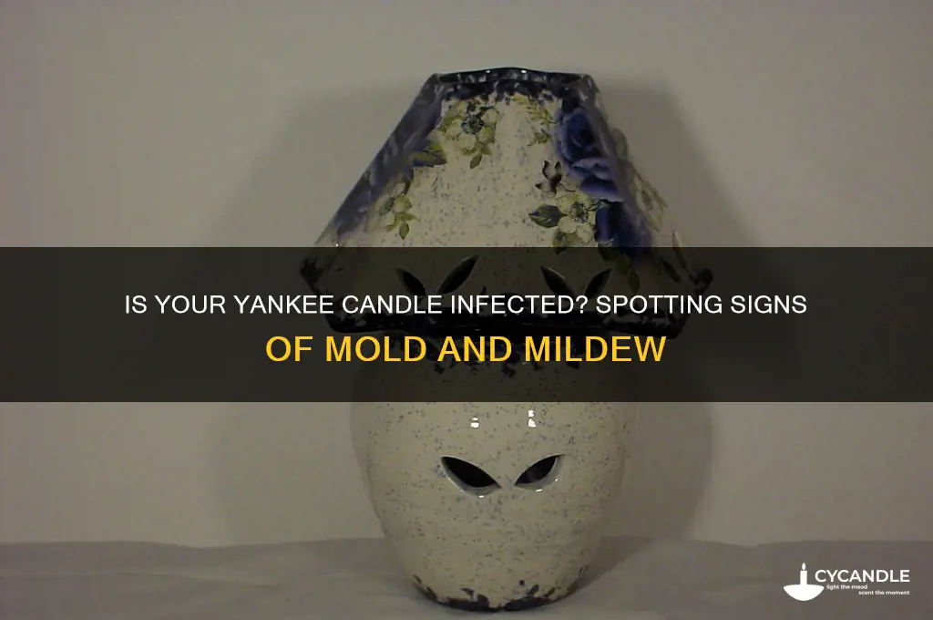 is this infected yankee candle