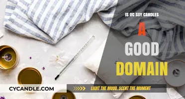 Soy Candles: A Smart Domain Choice?