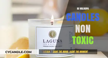 Voluspa Candles: Are They Non-Toxic?