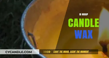 Is Wasp Candle Wax Safe? Exploring the Truth Behind the Myth