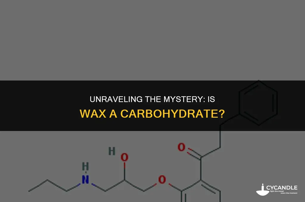is wax a carbohydrate