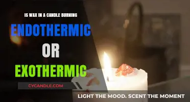 Candle Wax Burning: Exothermic or Endothermic Reaction Explained