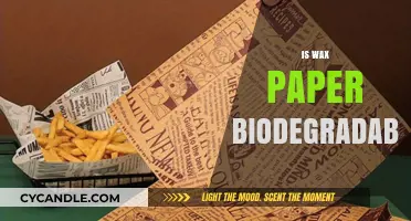Eco-Friendly Kitchen Essentials: The Biodegradability of Wax Paper