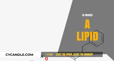 Exploring the Molecular World: Are Waxes Truly Lipids?