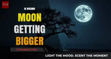 Is the Waxing Moon Getting Bigger? Understanding Lunar Phases