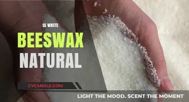 Is White Beeswax Truly Natural? Unveiling the Facts and Myths