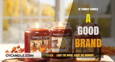 Is Yankee Candle Worth It? A Brand Review and Analysis