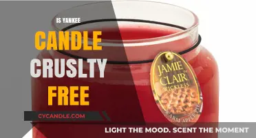 Is Yankee Candle Cruelty-Free? Uncovering the Brand's Animal Testing Policies