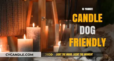 Are Yankee Candles Safe for Dogs? A Pet-Friendly Guide
