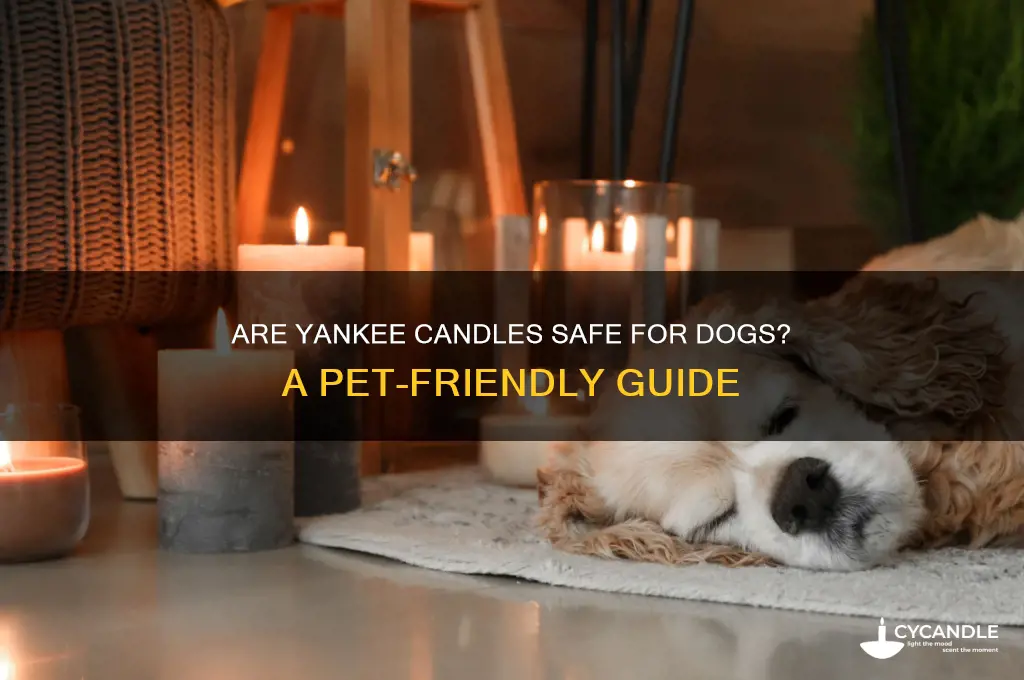 is yankee candle dog friendly