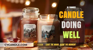 Is Yankee Candle Thriving? Analyzing Its Market Performance and Growth