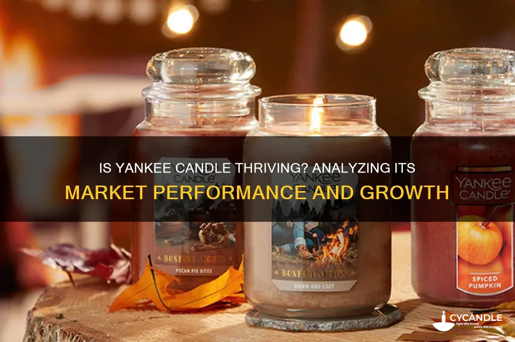 is yankee candle doing well