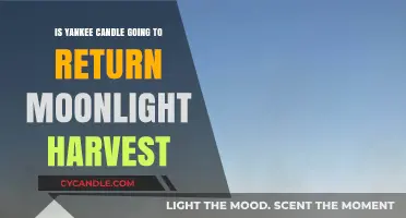 Will Yankee Candle Bring Back Moonlight Harvest? Fans Await News