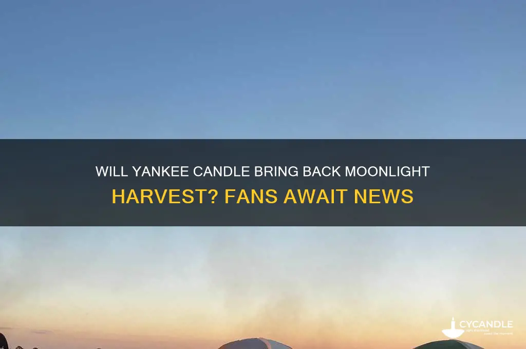 is yankee candle going to return moonlight harvest