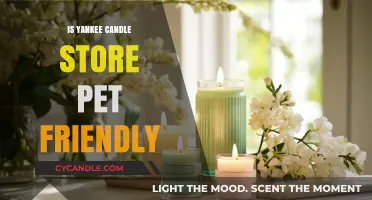 Are Pets Welcome at Yankee Candle Stores? A Pet-Friendly Guide