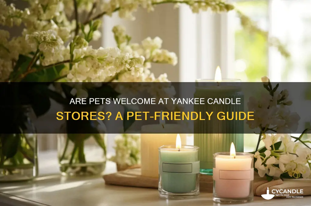 is yankee candle store pet friendly