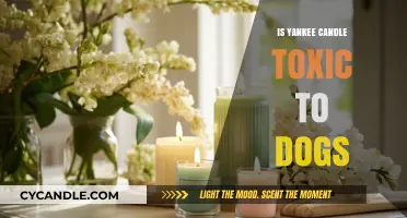 Are Yankee Candles Safe for Dogs? Potential Toxicity Explained