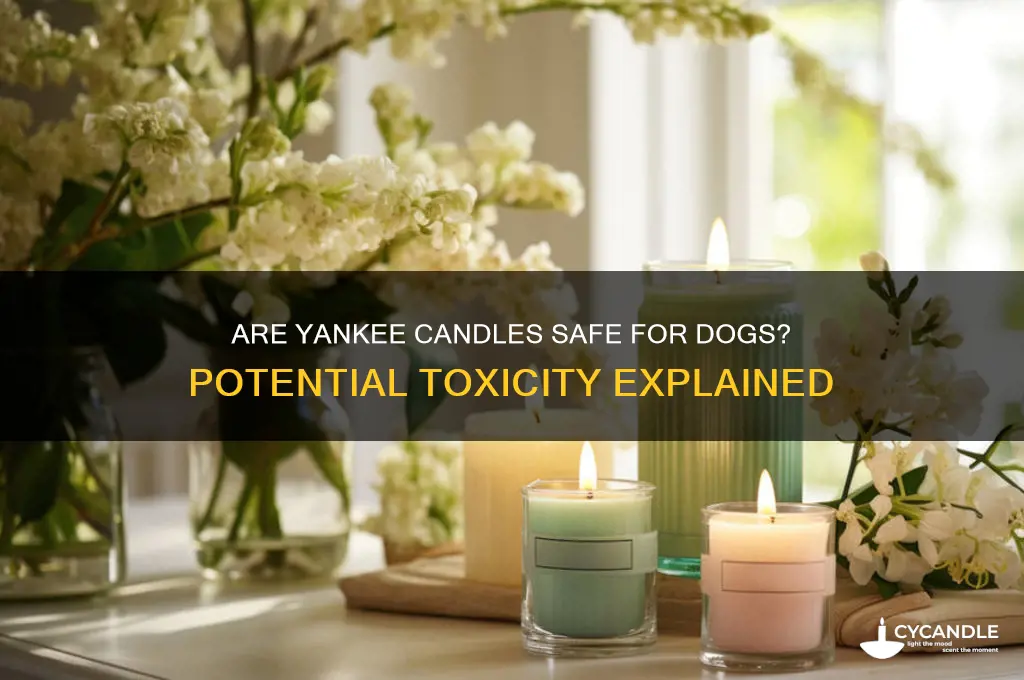 is yankee candle toxic to dogs