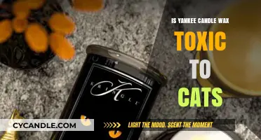 Are Yankee Candle Waxes Safe for Cats? Toxicity Concerns Explained