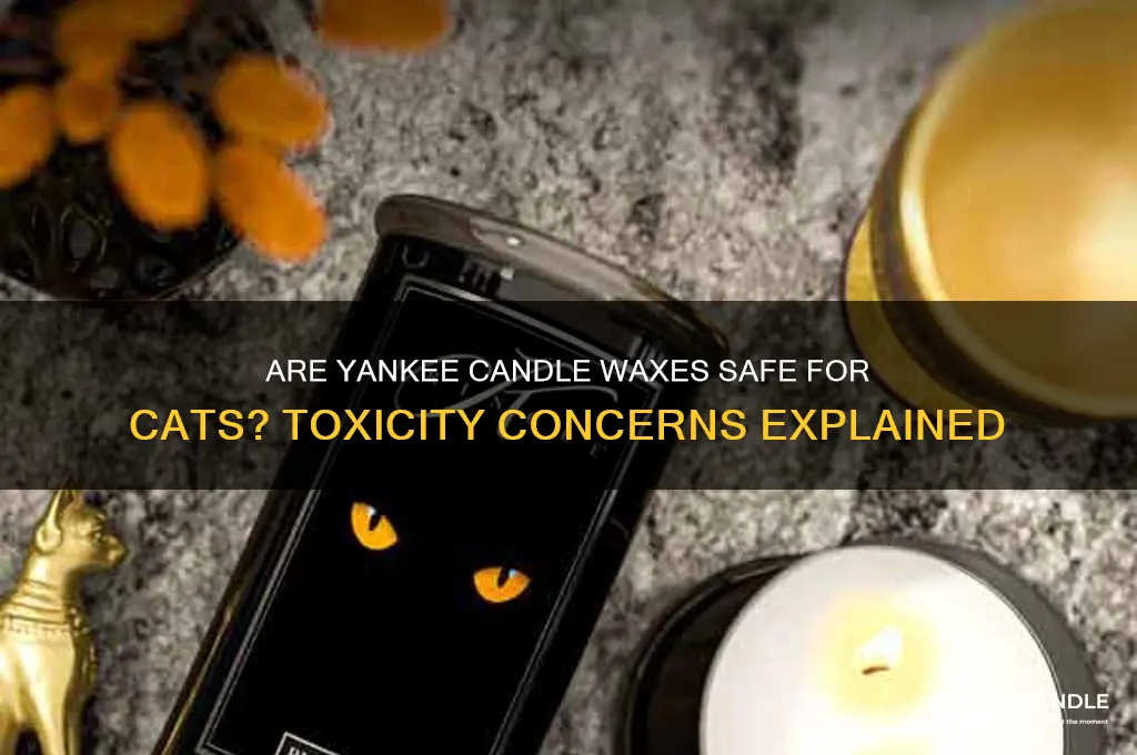 is yankee candle wax toxic to cats