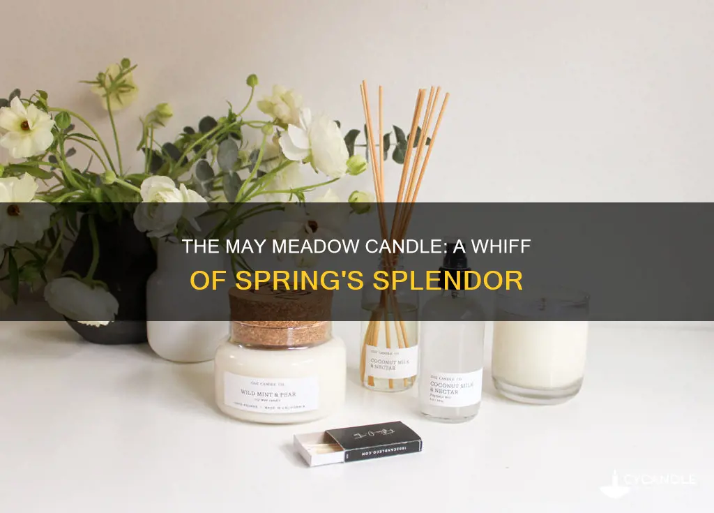 may meadow candle