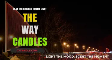 Burned Bridges as Beacons: Illuminating Paths with Unapologetic Choices