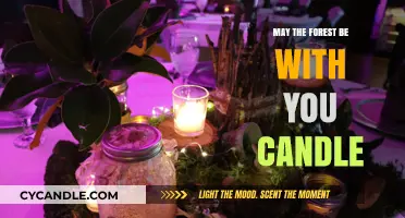 Forest-Scented Candles: A Whiff of Nature's Tranquility