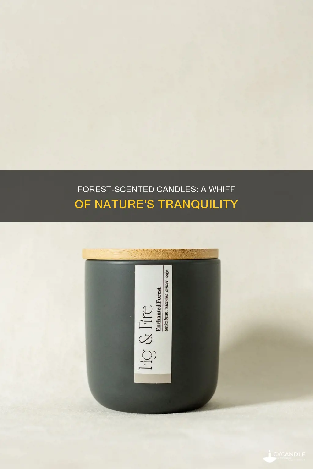may the forest be with you candle