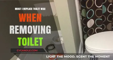 Toilet Wax Replacement: Essential Step When Removing Your Toilet?