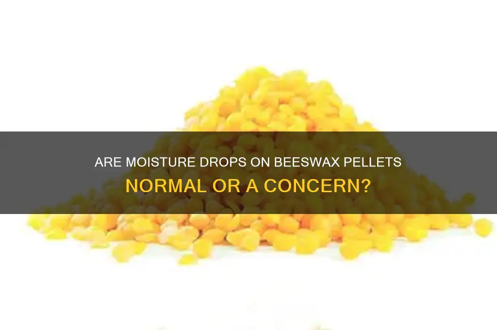 should beeswax pellets have moisture drops on them