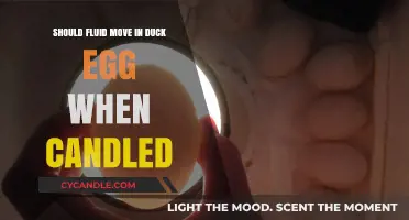Detecting Fluid Movement in Duck Eggs While Candling