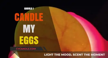 The Egg Candling Mystery: Why and How to Candle Eggs