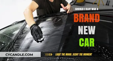 New Car, New Shine: The Clay Wax Dilemma Explored