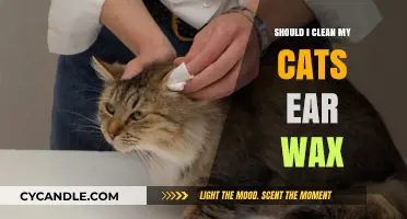 Feline Ear Care: To Clean or Not to Clean?