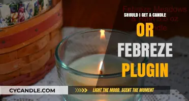 Candle vs. Febreze Plug-In: Which Air Freshener Suits You Best?