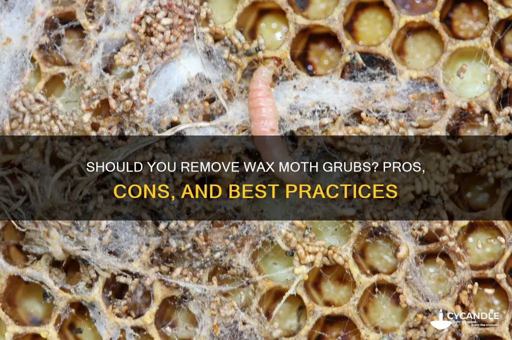 should i remove wax moth grubs