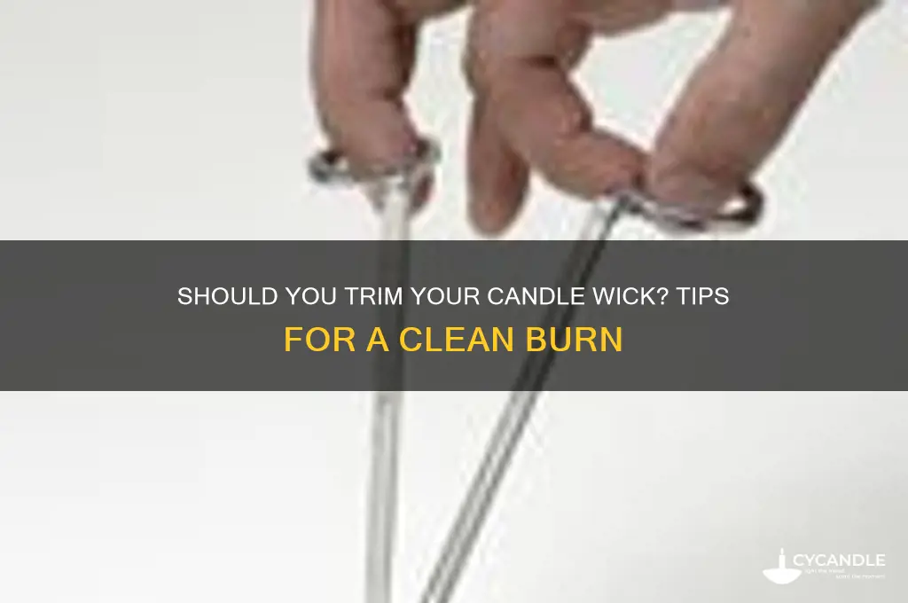 should i trim my candle wick
