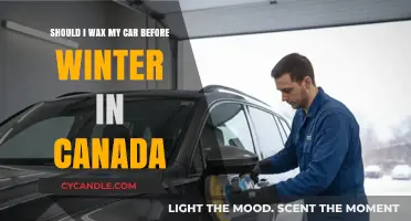 Waxing Your Car Before Canadian Winter: Essential Prep or Optional Step?