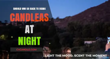 Reviving Candlelit Evenings: Should We Ditch Electricity for Nighttime Ambiance?